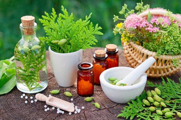 فروش مستقیم گیاهان دارویی طبیعی